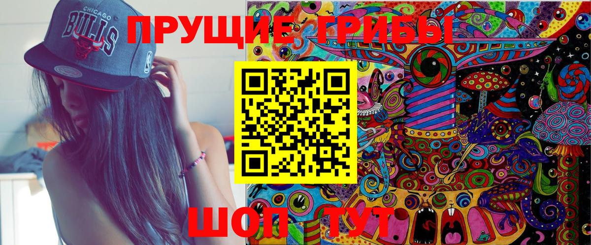 Галлюциногенные грибы прущие грибы  Вход с VPN  Луга 
